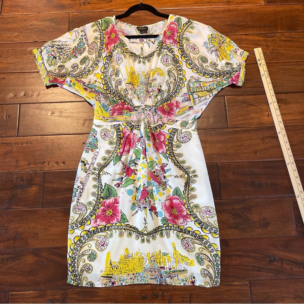 Anthropologie Collette Dinnigan Scenic Silk Dress 6